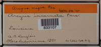 Image Associated With the Occurence